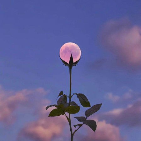 Mama FH profile icon