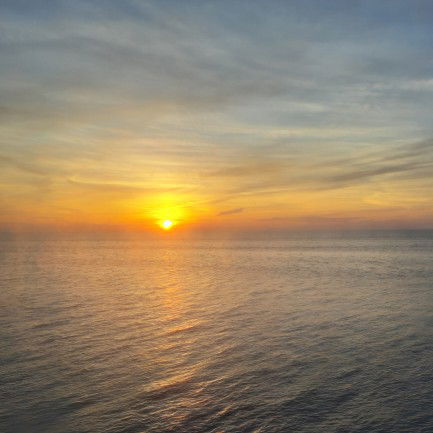 Rosalie profile icon