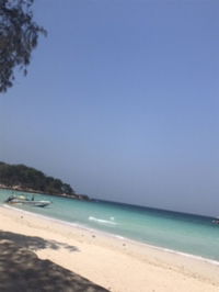 Mobile ee. profile icon