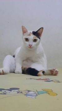 Nadia Humairah profile icon