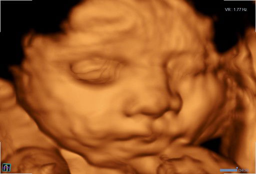 Chici Rania profile icon