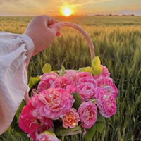 Hà Tiên profile icon