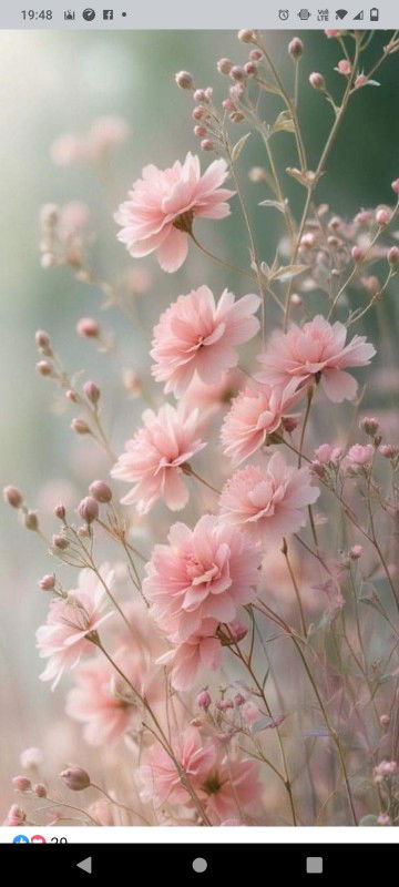 Murnie Danie profile icon