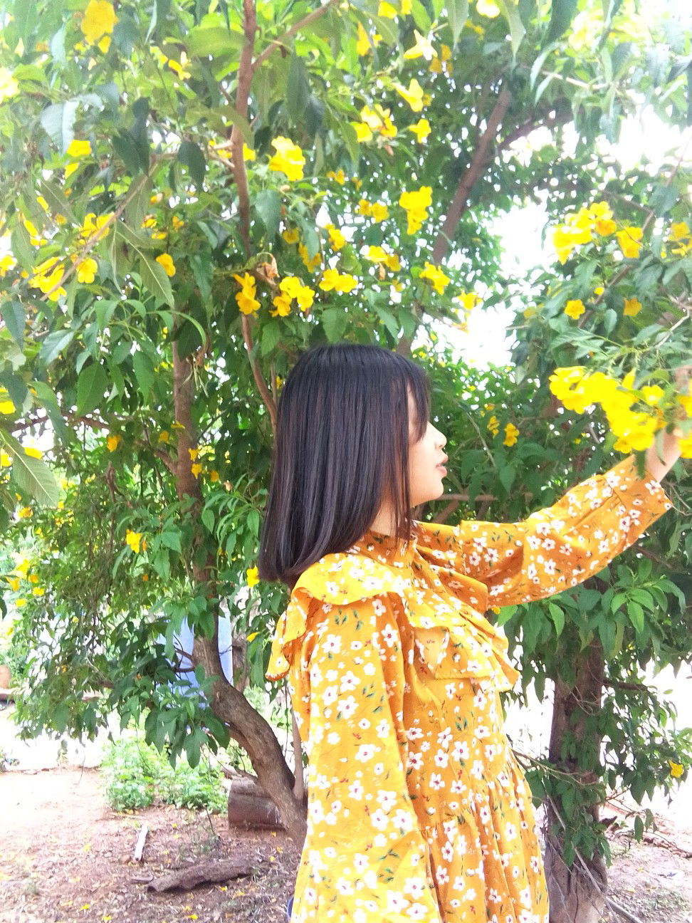 นิชกาน์ โมด่านจาก profile icon