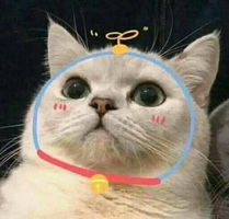 New Sirinya profile icon