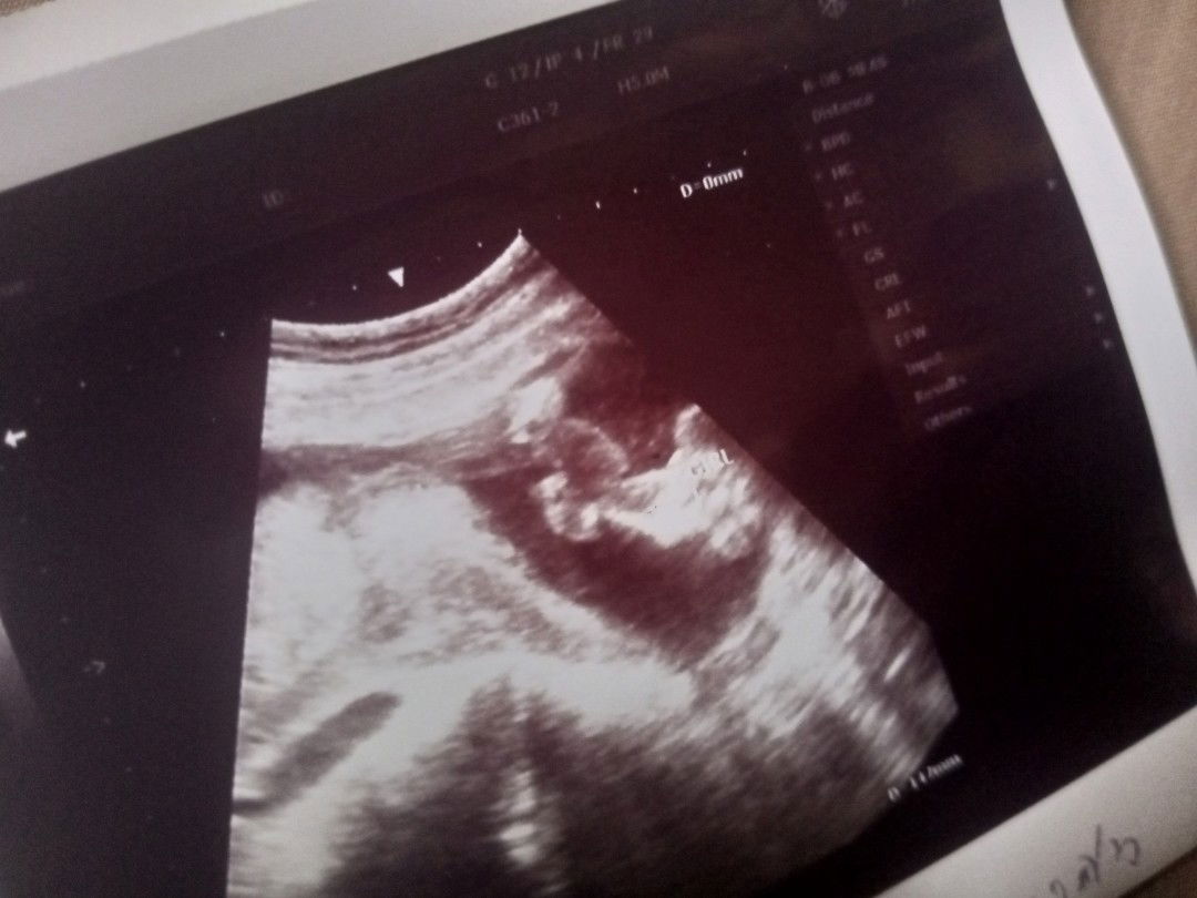 Nus_sara profile icon