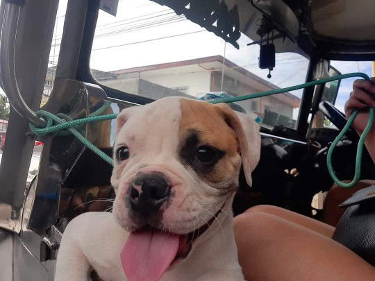 SM Saguran profile icon