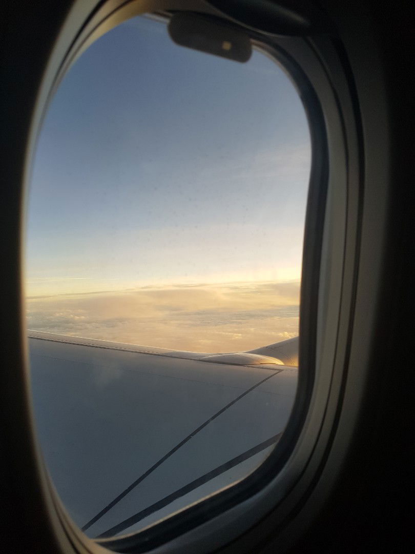 Meryl Ms profile icon