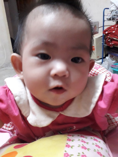 อายุ6เดือน