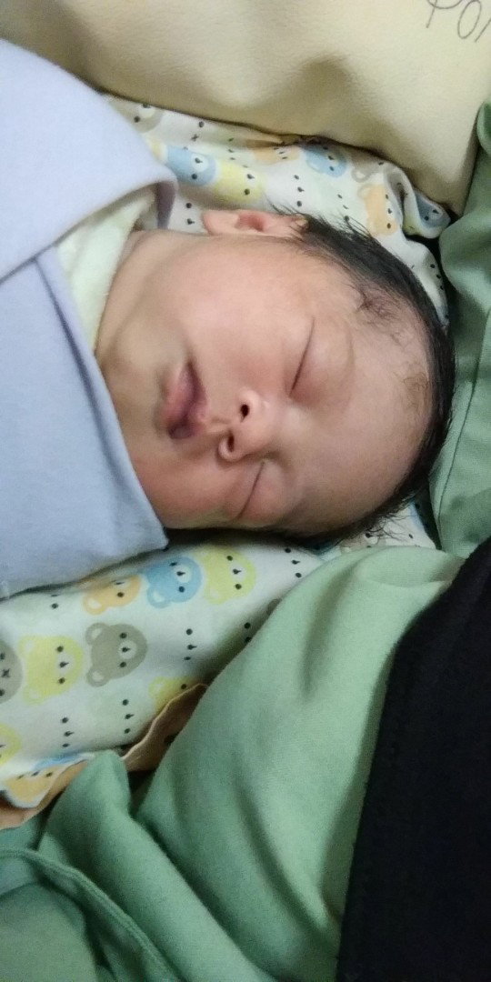 si kecil launching