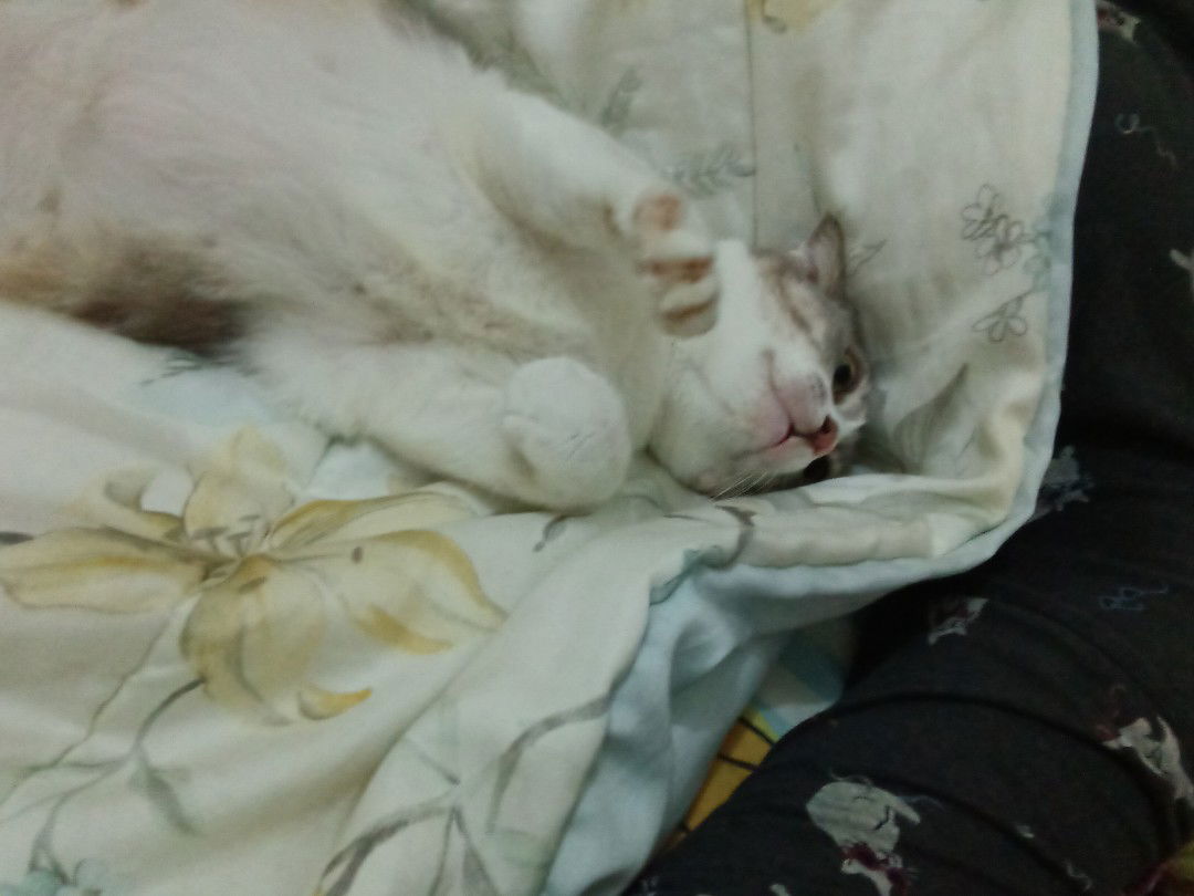 Karlina profile icon