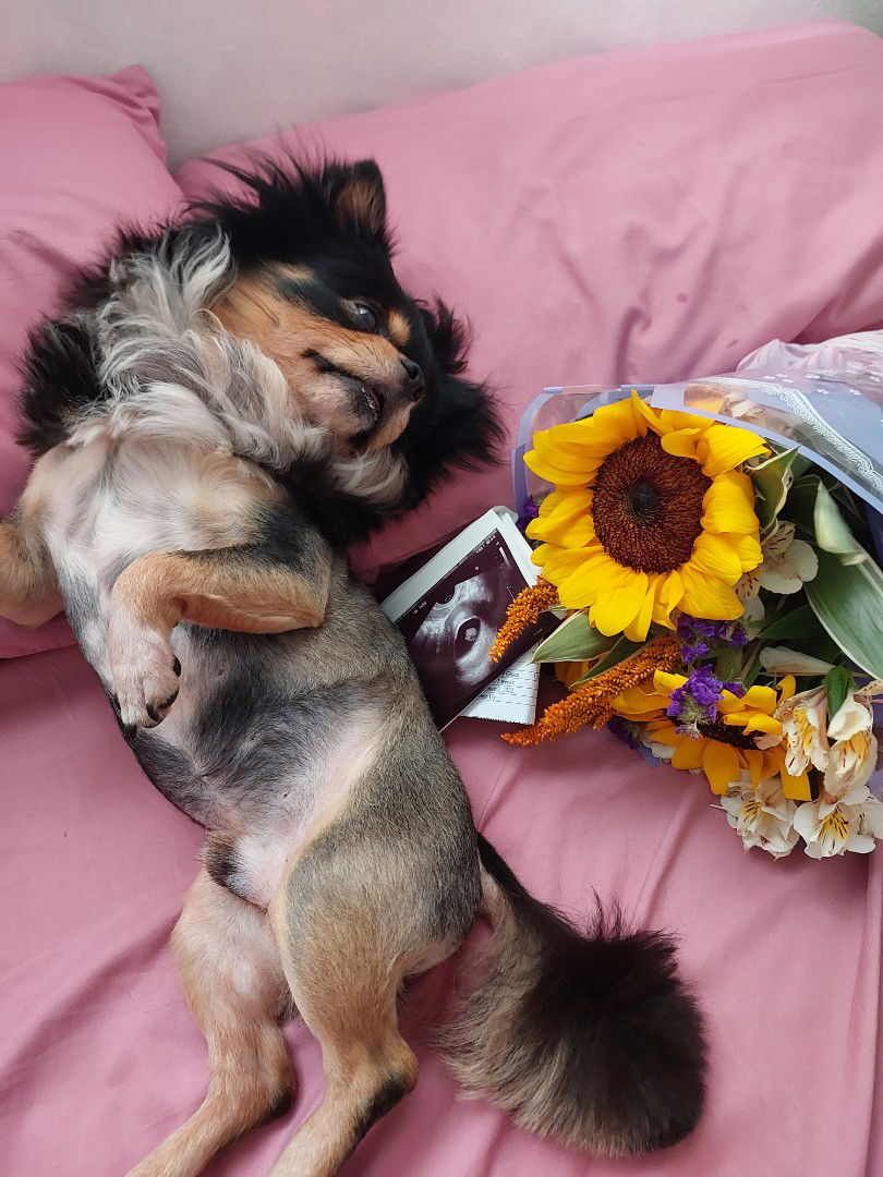 Grace Ortiz profile icon