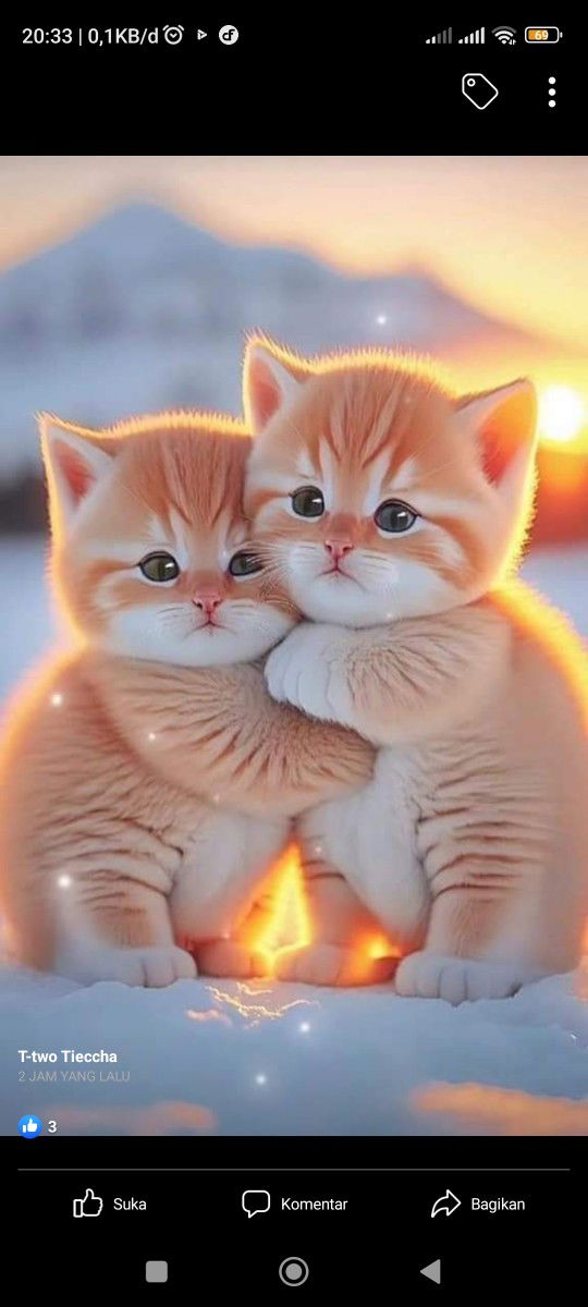 Afkarina profile icon