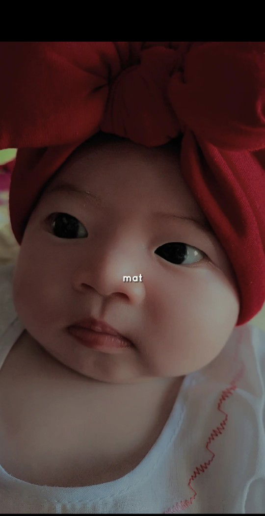 bối bối profile icon