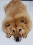 D profile icon