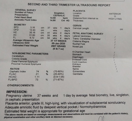 pelvic utz result