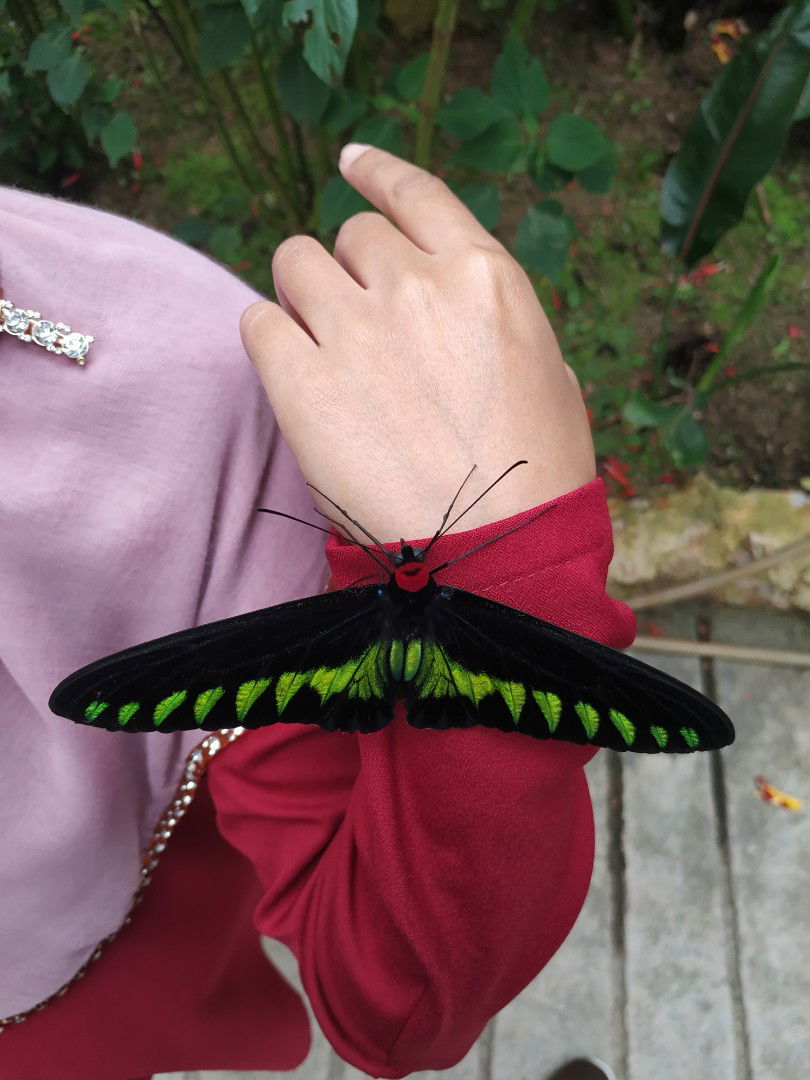 Nur Sakienah Hasnun profile icon