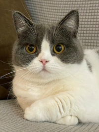 น้องกนกดารินทร์ profile icon