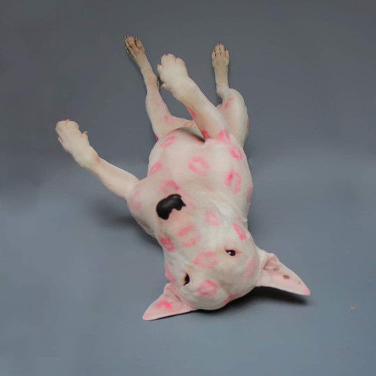 Nicha ✨️ profile icon