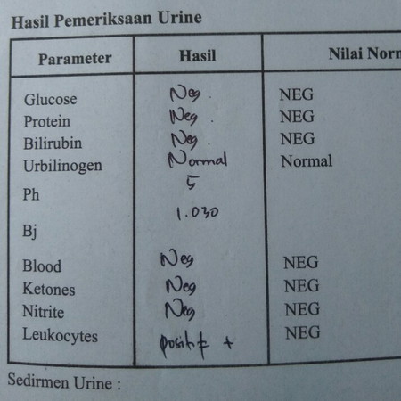 Ada Yg Bisa Baca Hasil Lab?