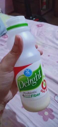 delight dutch mill