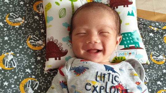 Mrs. Ren profile icon