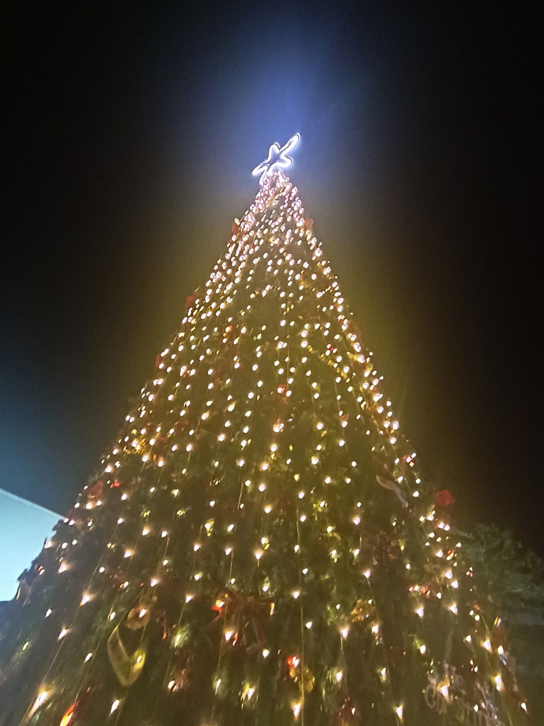 Kayla Karlo profile icon