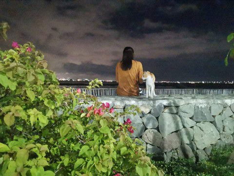 Monicka Iturralde profile icon