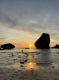 Marmalade profile icon