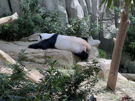 Mamabear profile icon