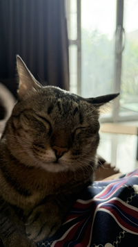 Sangrawee Dangpradub profile icon