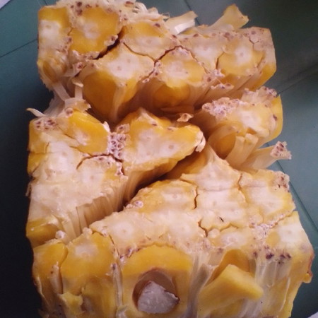 nangka/langka