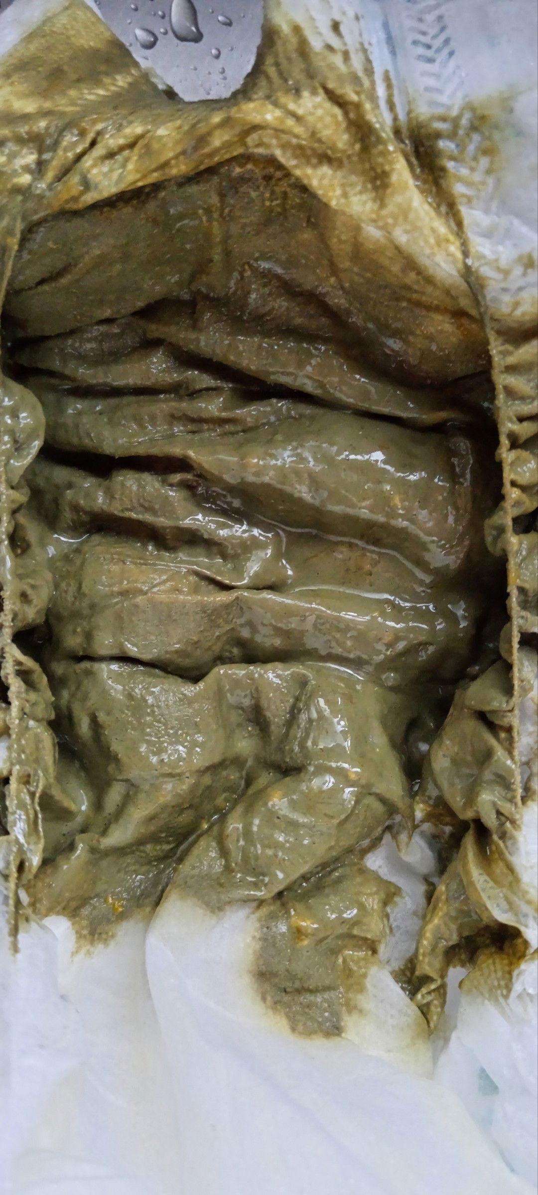 hai nak tanya warna najis ini normal ke