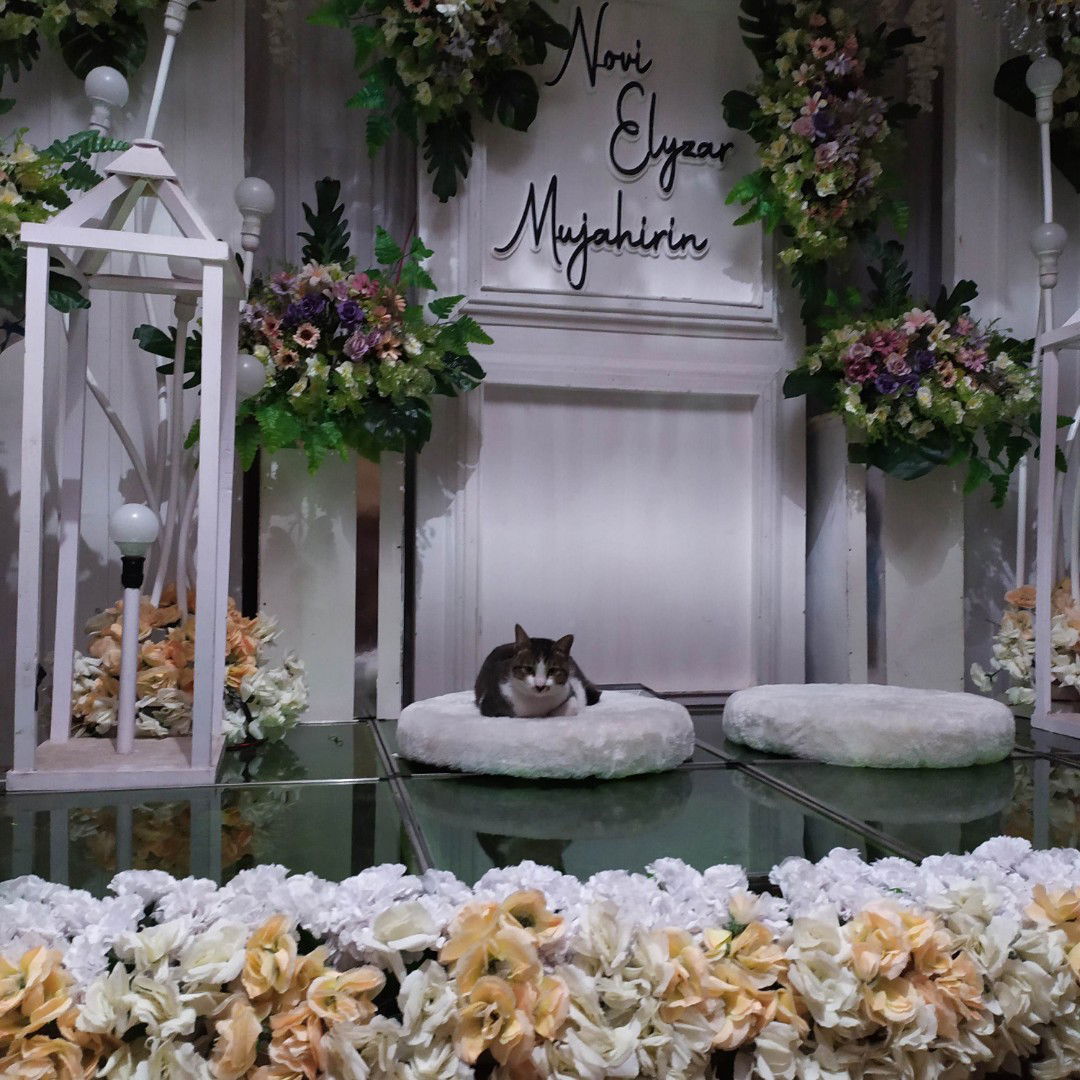 Noona Tae profile icon