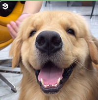 จุ๊มเหม่ง profile icon