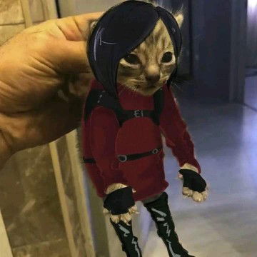 มะ เหมียว profile icon