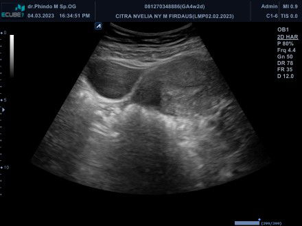 Citra Novelia profile icon