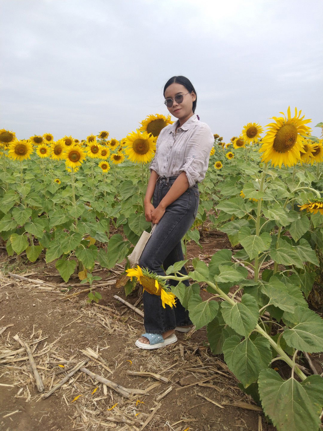 OO AE Rinlanee profile icon