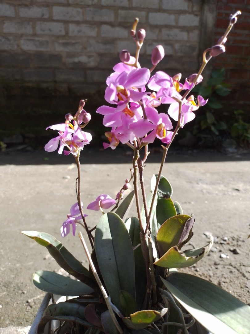 khotijah profile icon