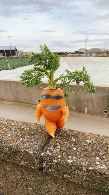 Selvia Stefani profile icon