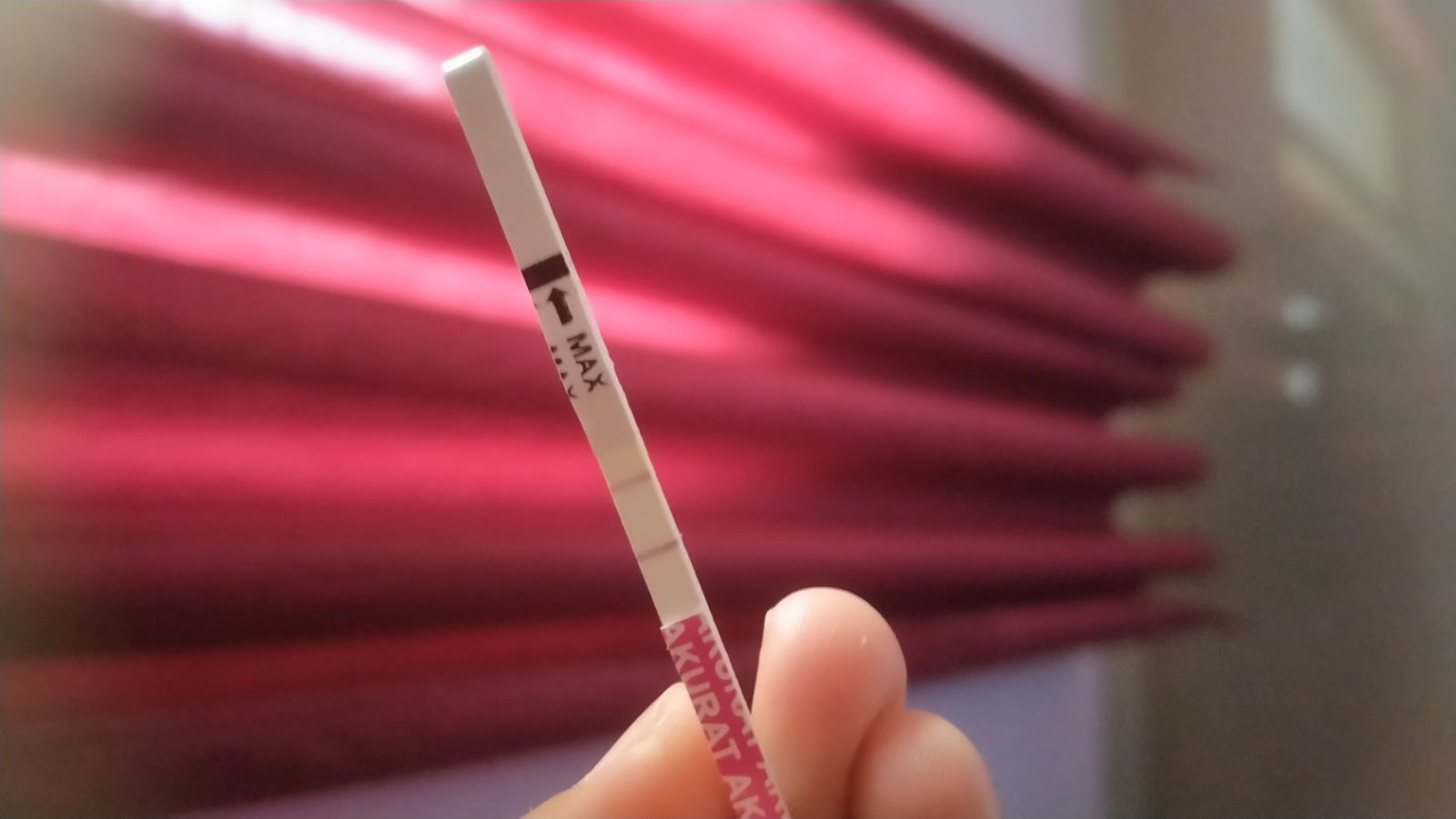 EKA KHOLIFATTU NAFIAH profile icon