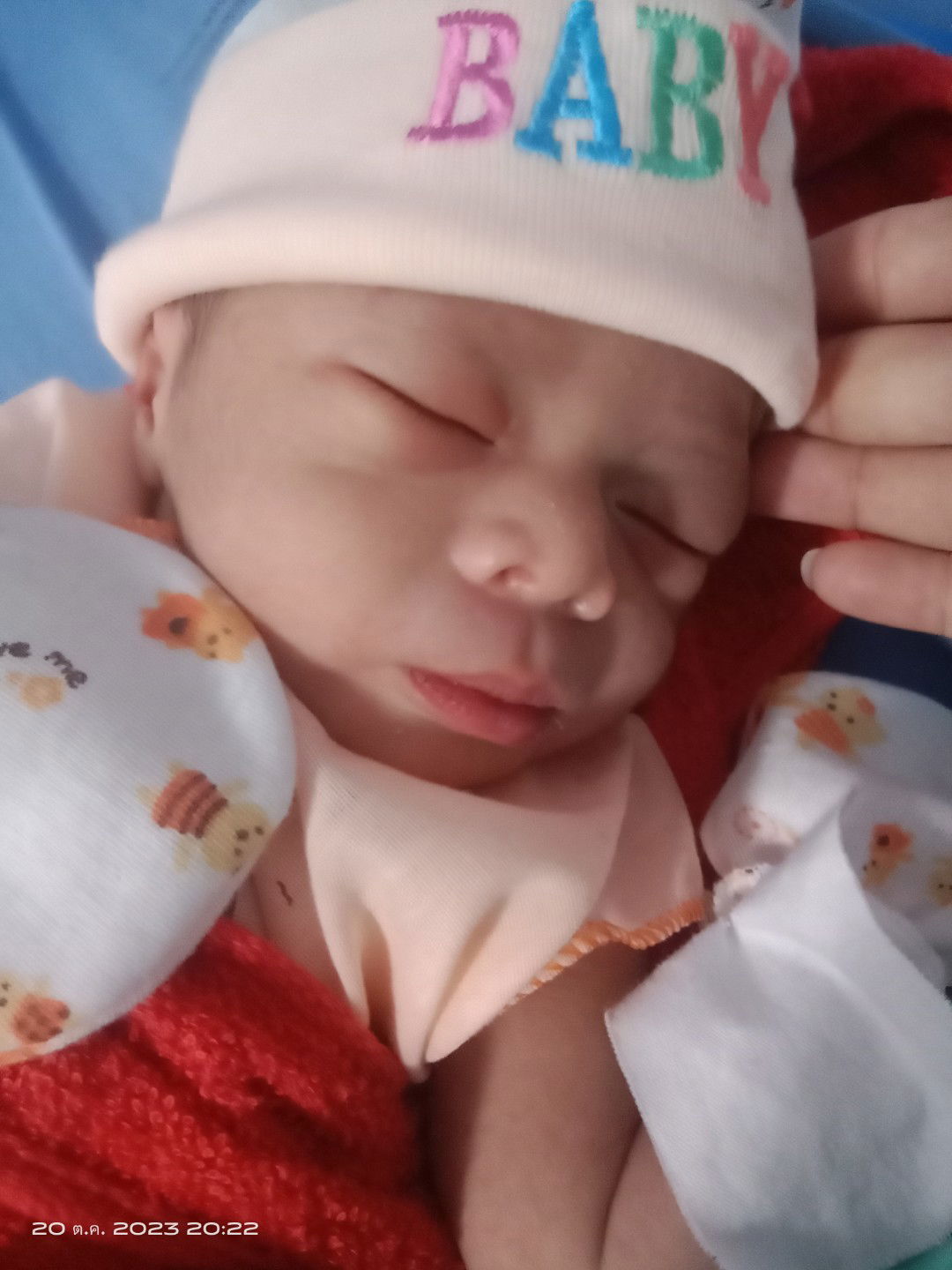 P'hannapha Lapho profile icon