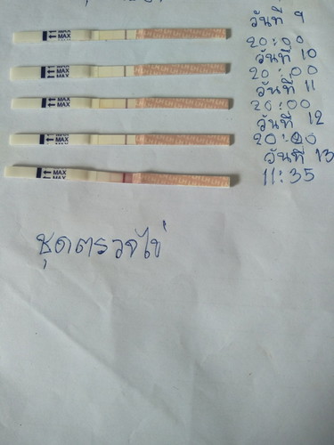 เราเก็บฉี่ผิดรึถูก (ชุดตรวจวันไข่ตก)