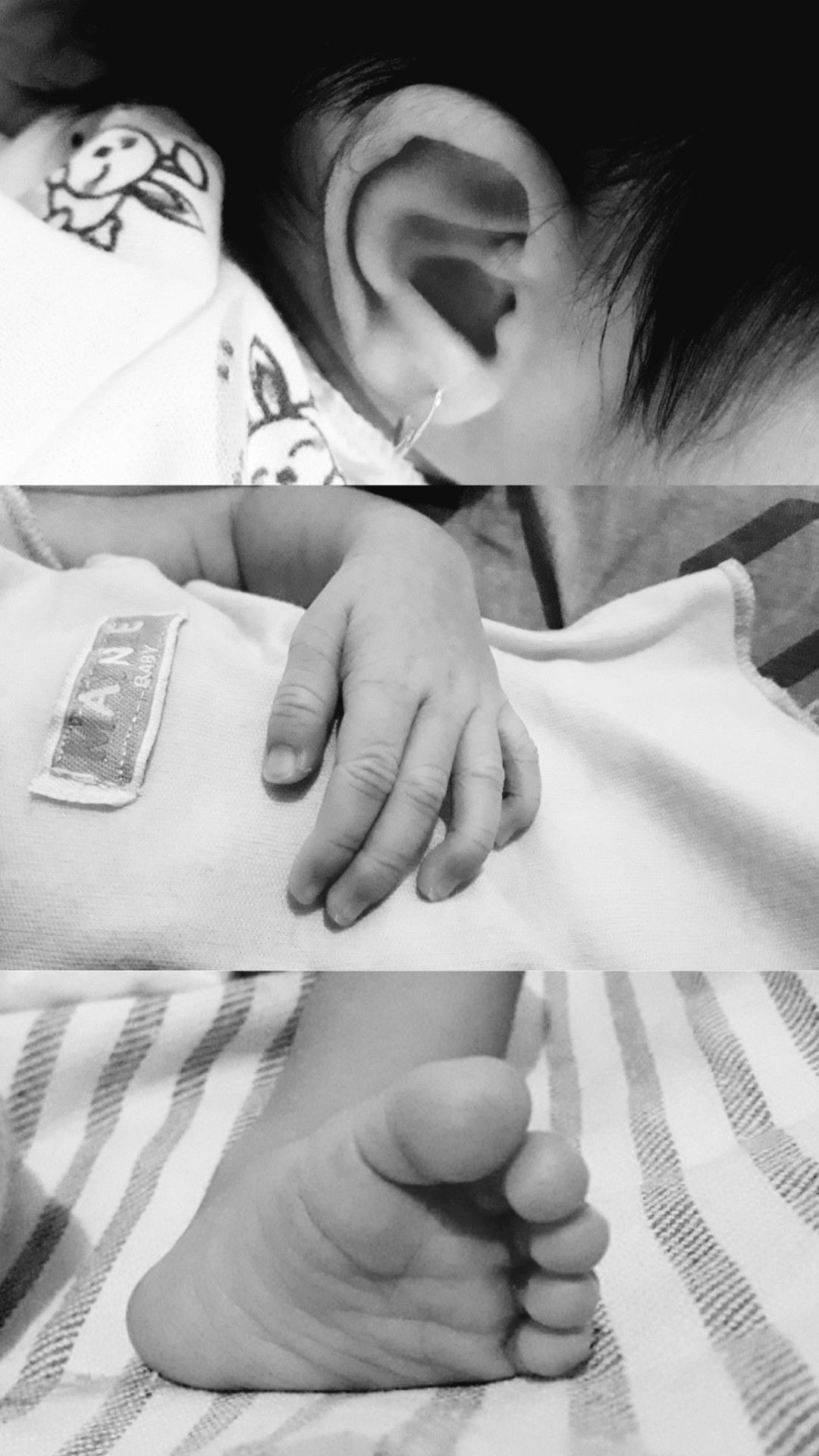 Fasrul Nisva profile icon