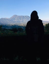 Nur Alfiddah R. profile icon