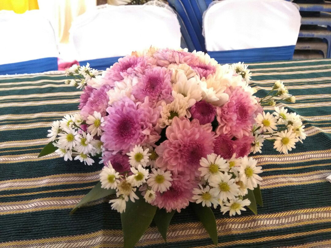 Sebut saja mawar profile icon