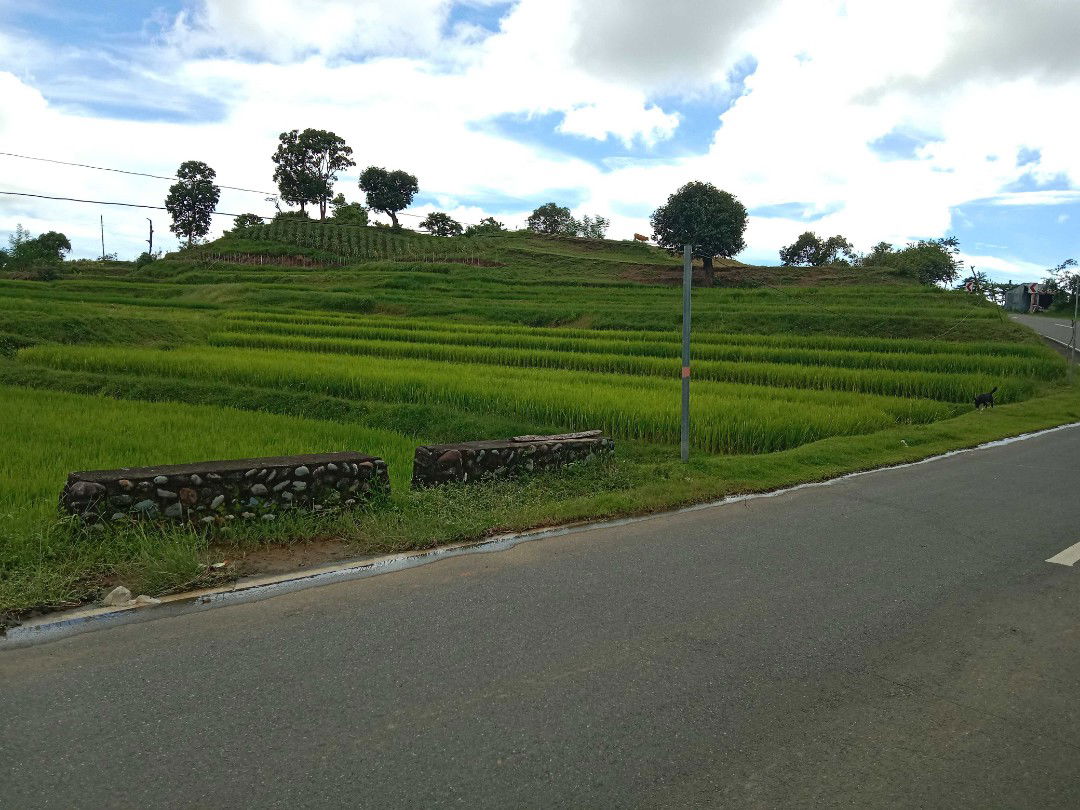 Girlie Verzola profile icon