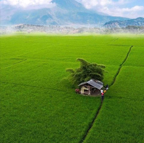 Shayne Malto profile icon