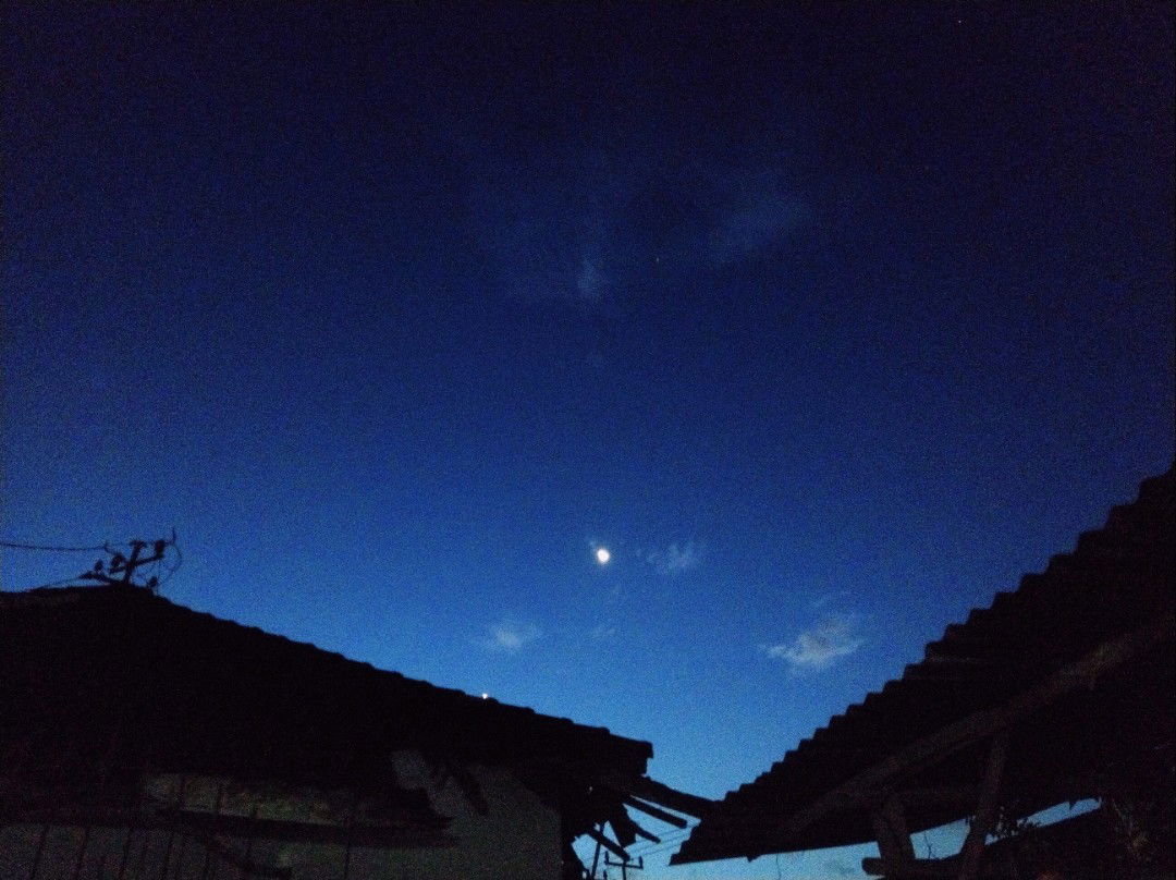 sry wahyuni profile icon