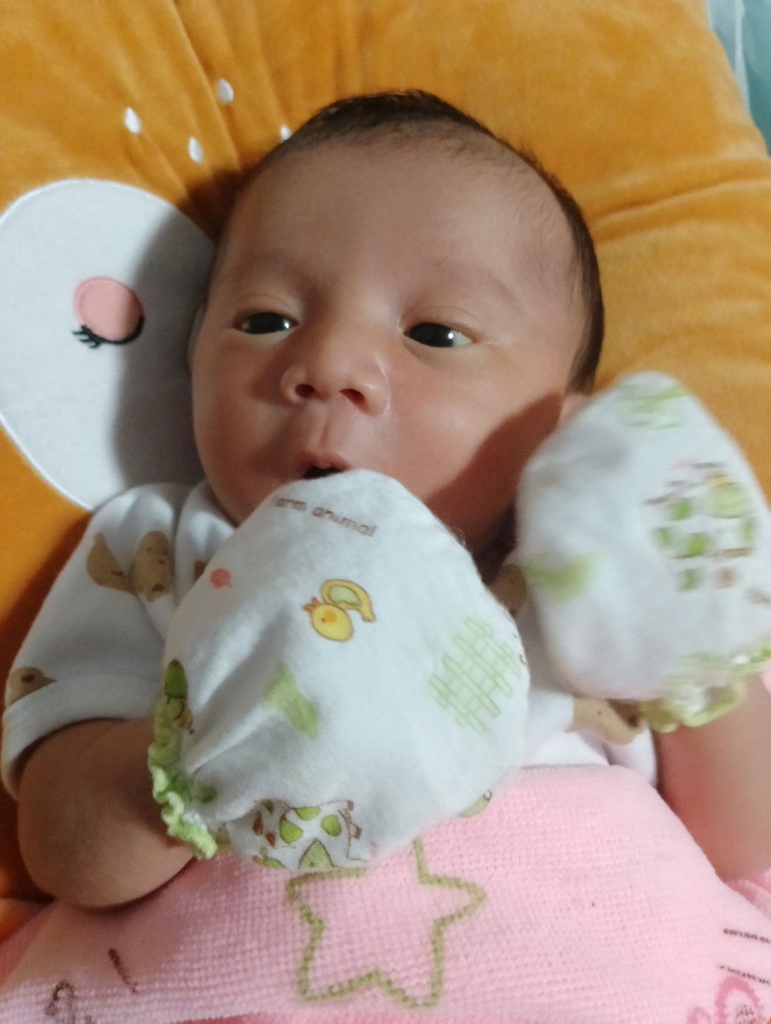 ธนัชพร ดีมาก profile icon